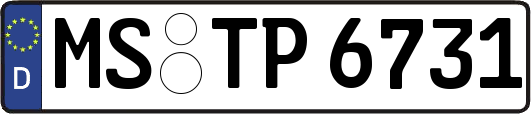 MS-TP6731