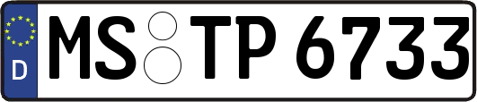 MS-TP6733