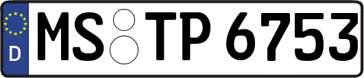 MS-TP6753