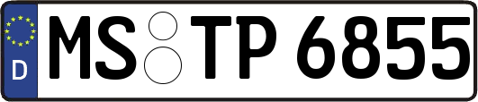 MS-TP6855