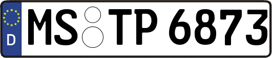 MS-TP6873