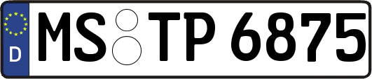 MS-TP6875