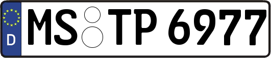 MS-TP6977