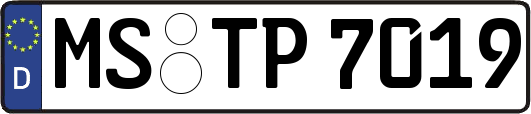 MS-TP7019