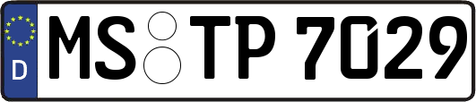MS-TP7029