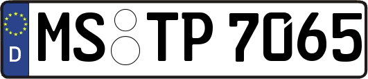 MS-TP7065