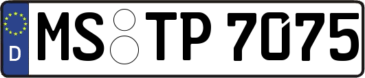 MS-TP7075