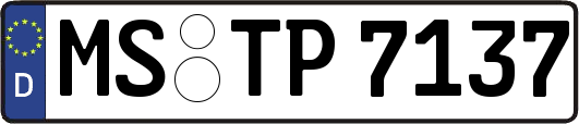 MS-TP7137