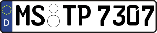 MS-TP7307