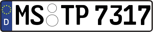 MS-TP7317