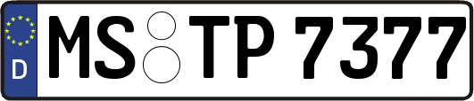 MS-TP7377