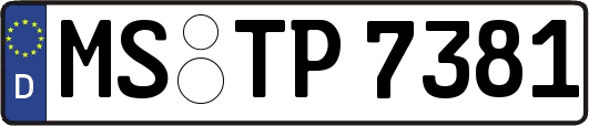 MS-TP7381