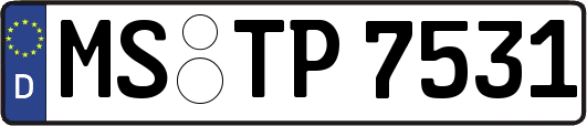 MS-TP7531