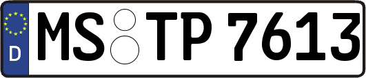 MS-TP7613