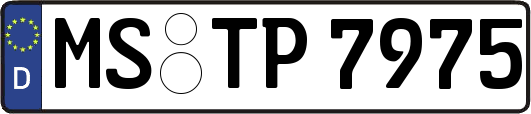 MS-TP7975