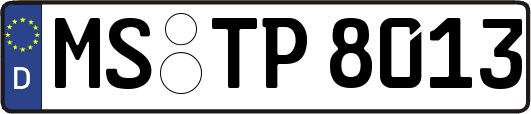 MS-TP8013