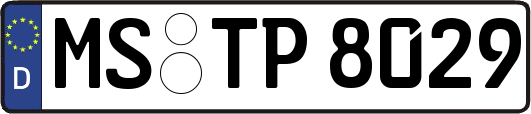 MS-TP8029