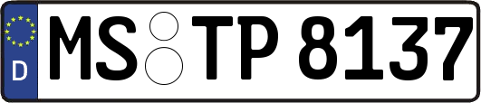 MS-TP8137