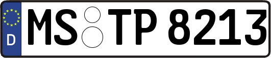 MS-TP8213