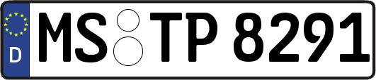 MS-TP8291