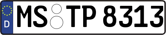 MS-TP8313