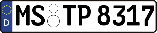 MS-TP8317