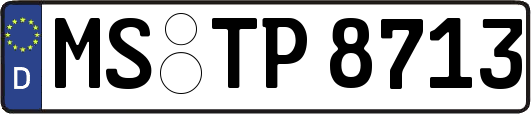 MS-TP8713