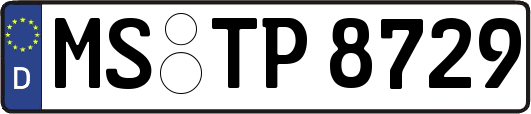 MS-TP8729