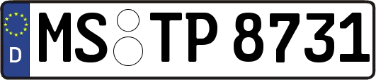 MS-TP8731