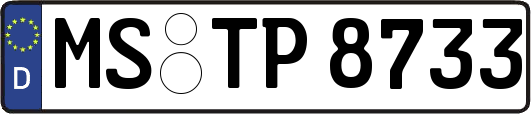 MS-TP8733
