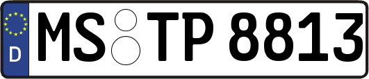 MS-TP8813