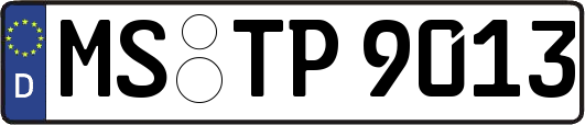 MS-TP9013