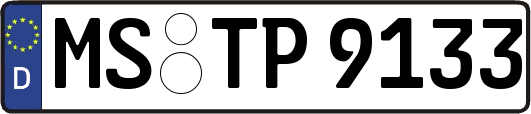 MS-TP9133
