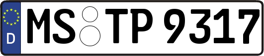 MS-TP9317