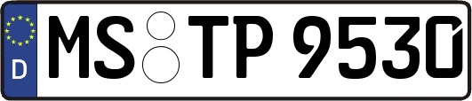 MS-TP9530