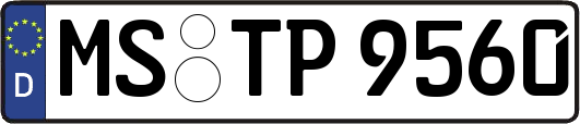 MS-TP9560