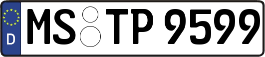 MS-TP9599