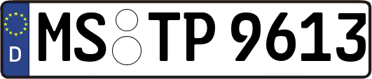MS-TP9613