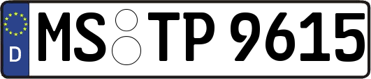 MS-TP9615
