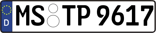 MS-TP9617