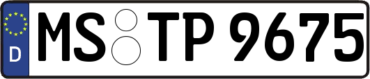 MS-TP9675