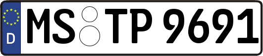 MS-TP9691