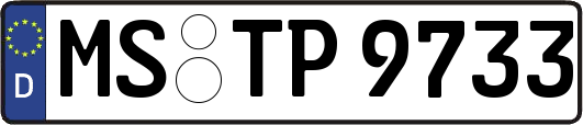 MS-TP9733