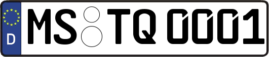 MS-TQ0001