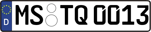 MS-TQ0013