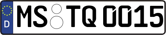 MS-TQ0015