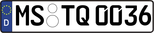 MS-TQ0036