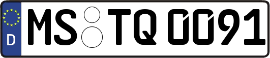 MS-TQ0091