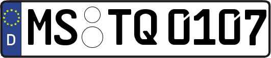 MS-TQ0107