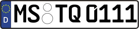 MS-TQ0111